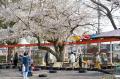 【佐賀市】市内都市公園初！神野公園の魅力づくり提案