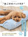 犬の熱中症、「室内でも気をつけてる？」暑さ対策に選