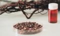 皮膚バリア機能の向上に着目した新原料を開発 ~「Wの 皮膚バリア機能の向上に着目した新原料を開発 ~「Wの