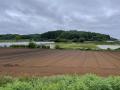 地域外からの農業法人の誘致の支援対象地区として全国