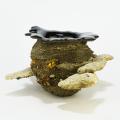 【LURF GALLERY】三宅哲平 個展「圏外」を2026年7月3