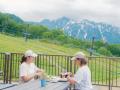 白馬五竜、6月20日からグリーンシーズン営業開始。高