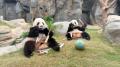 「香港Summer Fun」香港の街全体で楽しめる、夏限定イ