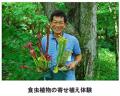 六甲高山植物園 × 伊丹市昆虫館夏イベント 「しutf-8