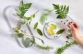 奈良・下市町の「KITO FOREST MARKET SHIMOICHI」にて