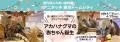 伊豆シャボテン動物公園が運営する屋内型ふれあい動物
