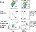 制御性T細胞を産み出す細胞の操作法を発見－外来utf-8