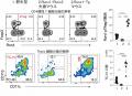 制御性T細胞を産み出す細胞の操作法を発見－外来utf-8