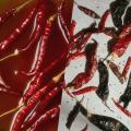 【新発売】7種のチリが織りなすスパイシーアガベリキ 【新発売】7種のチリが織りなすスパイシーアガベリキ