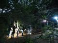 【長野県佐久市・パラダ】夜の森でカブトムシに会おう