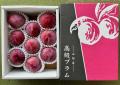 希少！最高級品種 菊島さんの『大玉すもも 貴陽(きよ