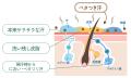 ベタつく「梅雨のジメジメ」「酷暑日」を乗り切utf-8