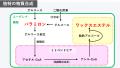 ユーグレナ社がR&D領域勉強会を開催