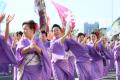 【出演者募集】市原市最大級の祭り「第13回上総いちは