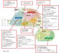 GREEN×EXPO 2027 カフェやレストラン、グリーンショ GREEN×EXPO 2027 カフェやレストラン、グリーンショ