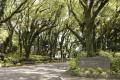 セイカ食品 × SHIROYAMA HOTEL kagoshima 初の共同企 セイカ食品 × SHIROYAMA HOTEL kagoshima 初の共同企