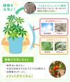 ご好評いただいている植物活力剤「アミノ家族(R)」を