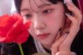 薔薇のように、美しく花開く。写真工房ぱれっと旭川店 薔薇のように、美しく花開く。写真工房ぱれっと旭川店