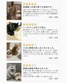 愛猫にもっと快適な食事時間を。創業111周年の老舗桶 愛猫にもっと快適な食事時間を。創業111周年の老舗桶