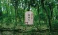 吉備津神社 国宝本殿・拝殿再建600年+1を記念しutf-8 吉備津神社 国宝本殿・拝殿再建600年+1を記念しutf-8