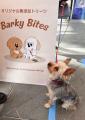 【イベントレポート】Barky Lifeが二子玉川の「ふたこ 【イベントレポート】Barky Lifeが二子玉川の「ふたこ