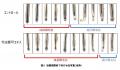 冬虫夏草エキスの毛包成長期維持作用への関与を確認