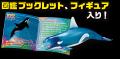 生き物について楽しく学べる「&Co.」にくじらが登場 