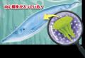 生き物について楽しく学べる「&Co.」にくじらが登場 