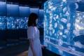 【京都水族館】夏休みに先駆けて6日間限定のナイutf-8