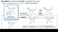 【徳島大学】DNAをより簡便かつ高速に合成する新手法-