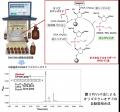 【徳島大学】DNAをより簡便かつ高速に合成する新手法-