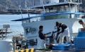 池澤鮮魚の「土佐・日戻り鰹たたき」が「おもてなしセ