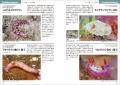 【DNA解析による最前線の分類】沖縄で見られる1089種