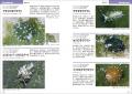 【DNA解析による最前線の分類】沖縄で見られる1089種
