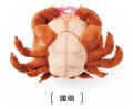 全国のカニファン必見！？ 貝殻を背負ったまんまるな“