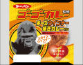 能登の被災地の復興を応援!ゴーゴーカレー コラボカ 能登の被災地の復興を応援!ゴーゴーカレー コラボカ