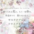廃棄予定の花をハンドメイド素材へ。MY mamaが続ける 廃棄予定の花をハンドメイド素材へ。MY mamaが続ける