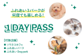 カワスイは6周年！ヒマラヤマーモットが新たに仲間入