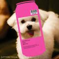 犬とビールを愛するコレクティブ「SUMMER DOG」がマル 犬とビールを愛するコレクティブ「SUMMER DOG」がマル