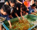 【熱海市】この夏休みは近場で大満足のファミリー旅へ 【熱海市】この夏休みは近場で大満足のファミリー旅へ