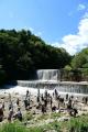 夏を先取り！　川遊び・大型プール遊びを先行、解禁！