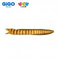 好きのボリューム最大級！GiGO PRIZE(R)発のでっかい