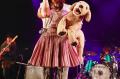 ≪コレサワ LIVE 2026 きみとデート vol.3≫ライブレポ ≪コレサワ LIVE 2026 きみとデート vol.3≫ライブレポ