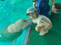【夏休みの過ごし方】7/27出発 夜の水族館！鴨川シー
