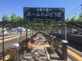 【日本でここだけ！】「駅ホームのぶどう園」のutf-8