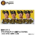 阪神タイガース「ドライチカルテット」が集結。森下・