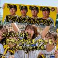 阪神タイガース「ドライチカルテット」が集結。森下・