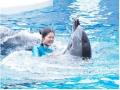 【上越市立水族博物館 うみがたり】うみがたりSUMMER