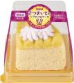 いなばペットフード　わんちゃん向け冷凍ケーキのライ