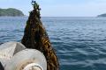 岩手の大地と三陸の海の恵みを味わい尽くす夏の週末。